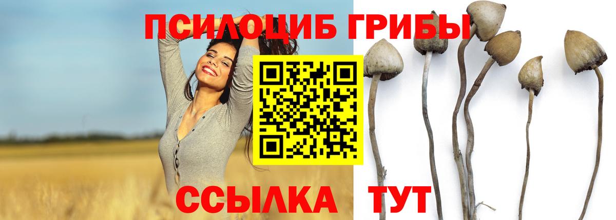 где можно купить   Галлюциногенные грибы мухоморы  Наро-Фоминск  Вход с VPN  Галлюциногенные грибы Psilocybine cubensis 